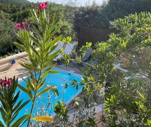 Maisons de vacances La petite maison sur la colline - Piscine privee : photos des chambres