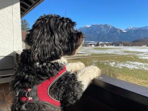 Ferienwohnung Kaiserpanorama - Alpenmagie Suites
