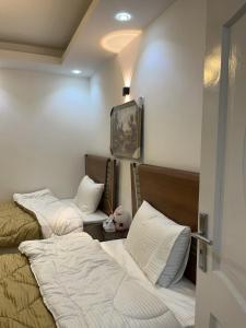 شقة فندقية بالمعادى 114