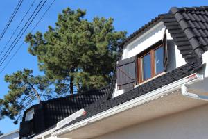 Bulle Entre Parenthèses