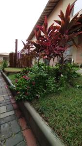 Aconchego da Jandaia