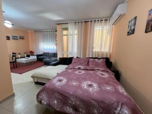 Elbasan center family apartment n.42
