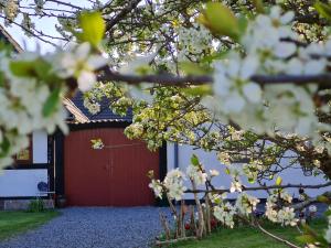 B&B Bauernhofferien auf Møn, Schäferwagen " DARK SKY"