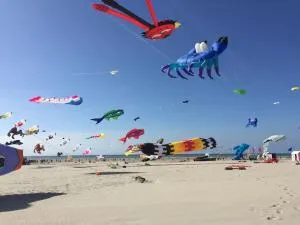 Appartement à 2 pas de la mer - 朗迪夫利耶