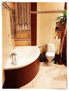 SouvenirAppart Sniadeckich