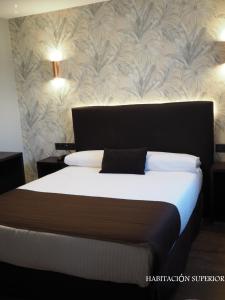 Superior Double Room room in Hotel Junquera
