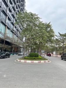 KIM Apartment & Homestays