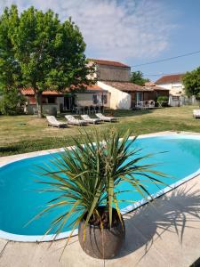 Chalets Les morines : photos des chambres