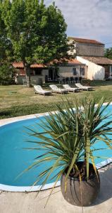 Chalets Les morines : photos des chambres