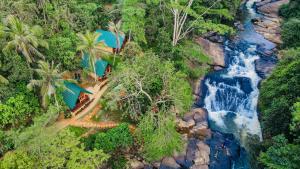 The Rainforest Hideaway