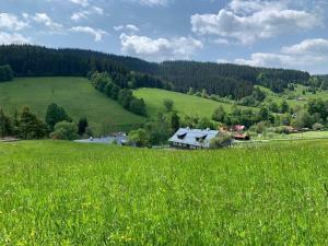 Apartmány NETA Velké Karlovice, Polanský Dvůr