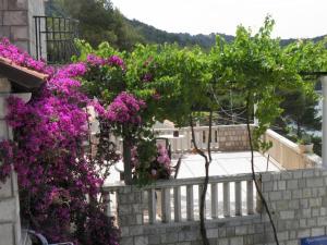 Holiday apartment in Saplunara with sea view, balcony, air conditioning, WiFi 5197-3