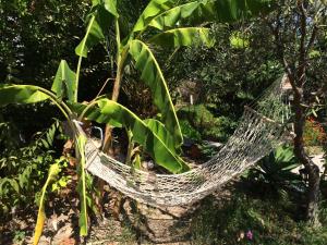 Patmos Villas Patmos Greece