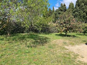 Belle maison avec piscine