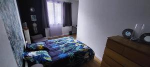 Appartements Issoudun appart elegant 150m² : photos des chambres