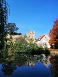Maisons de vacances Charme& Romance **,couple,Zoo Beauval/Chateaux : photos des chambres
