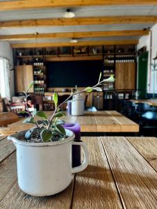 Penzion a bistro Starý kopec