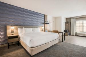 King Suite with Sofabed - Accessible/Non Smoking/No Pets Allowed room in Comfort Inn & Suites Gaylord