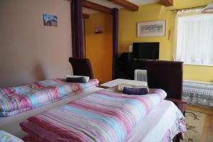 Deluxe Double Room with Shower room in Penzion Veronika
