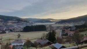 Chalets Chalet Biazot : photos des chambres