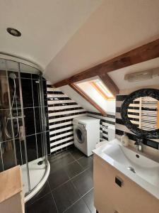Appartements Le duplex du journaliste : photos des chambres