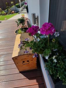 Chic & Blick Die Ferienwohnung