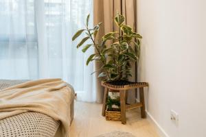 BOTANlQUE 1BR in Business Centre