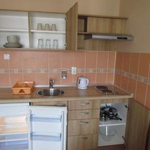 Luksuzni Apartmani Mitić-Mint