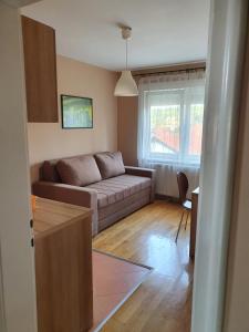 Luksuzni Apartmani Mitić-Mint