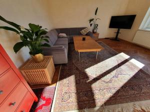 Neu renovierte Altbauwohnung im Herzen von Steyr 100qm