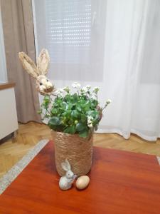 B&P apartman Vrnjačka Banja