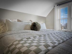 The Savannah, Boutique BNB & Spa