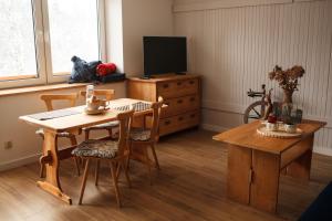 Aleksandria nad Olzą