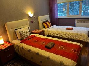 Luxuary modern appartment