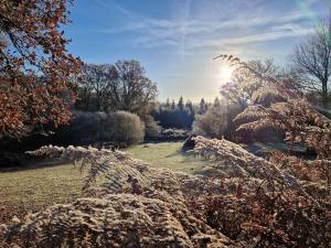 Maison dans un havre de paix