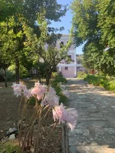 House in Propan - Lambinoú