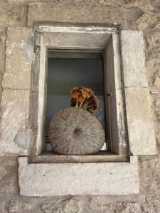 Sejours chez l'habitant Le Mas F : photos des chambres