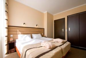 Junior Suite with Balcony room in Albatros Spa & Ski