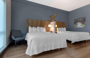 Ideal Studio with Two Queen Beds - Non-Smoking room in Extended Stay America Premier Suites - Austin - Austin Airport