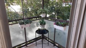 Departamento Aeropuerto River Plate en Los Bosques de Palermo y Libertador CABA Belgrano Chico