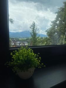 Rolicek 4 Seosons Apartments