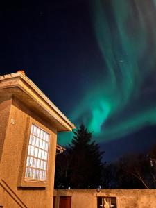 Casa Dísa - Apartments A Boutique Guesthouse in Reykjavik City`s Central Park and Botanical Garden in Laugardalur, Hot-Spring-Valley - 4hvězdičkové hotely ve městě Reykjavík