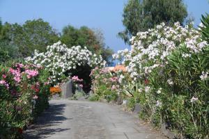 Vulcano Blu Residence
