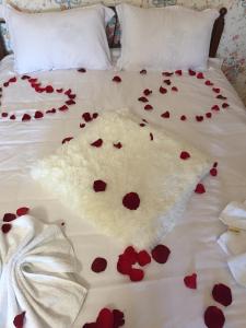 Minihotel Zolotoe Runo