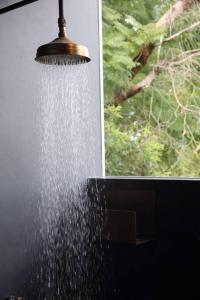 Shack Palace Noosa Home