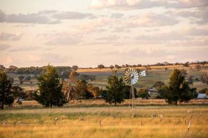 The Ithaca Farm Experience - A Unique Mudgee Escape