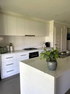 Stylish Open Plan Retreat