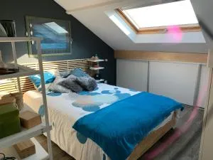 Chambre + SdB privative - Fleury-les-Aubrais