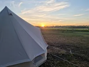Coastal Glamp at Bellarine Estate winery - Bellarine