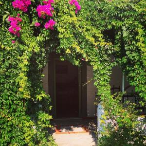 Patmos Villas Patmos Greece